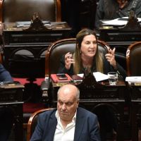 Con el apoyo del oficialismo y la UCR, el PRO volvi a convocar a una sesin para tratar Ficha Limpia en Diputados