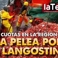 La pelea por la cuota de langostinos en la Patagonia