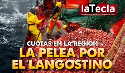 La pelea por la cuota de langostinos en la Patagonia