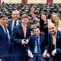 Nuevos aliados y vnculos en tensin, la cosecha libertaria en el Congreso