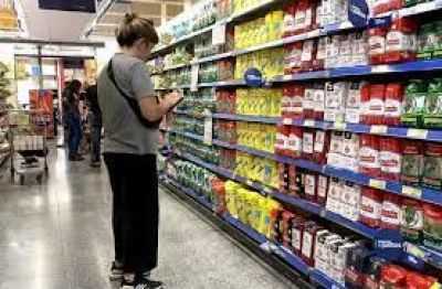 Al final del primer a�o de Milei, las familias siguen sin llegar a fin de mes: compras m�s chicas, cambio de marcas y correr detr�s de promociones