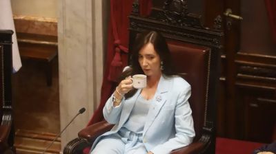 Victoria Villarruel habl� sobre la interna del Gobierno: 