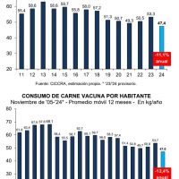 El derrumbe del consumo de carne no encuentra fondo: rcord negativo y pico de exportaciones en noviembre