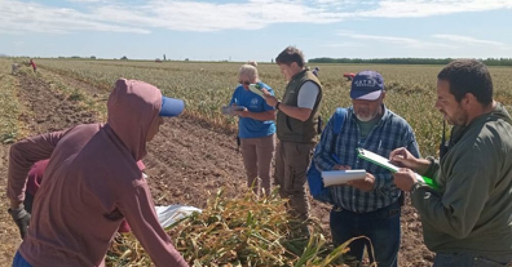 Detectan graves irregularidades laborales en un establecimiento hortcola de la provincia de Mendoza