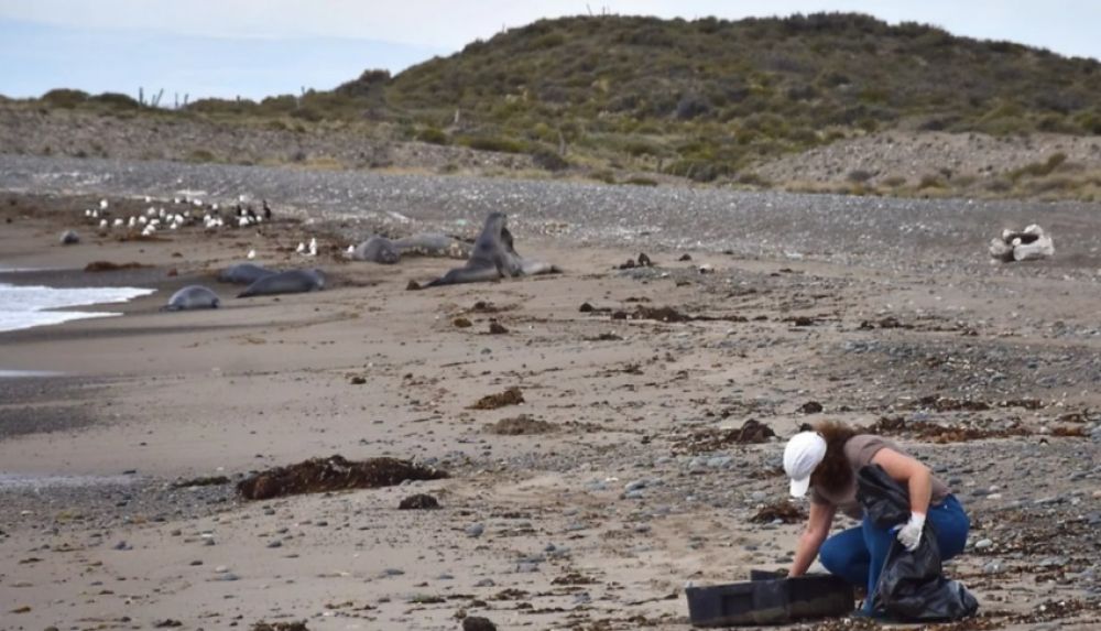 Limpian Santa Isabel e Isla Escondida y recolectan ms de 100 kilos de residuos