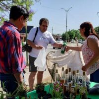 Estos son los puntos y horarios del Ecocanje en verano