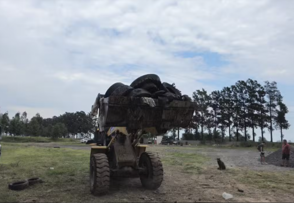 Ramallo: retiraron ms de 70 toneladas de neumticos del basural municipal