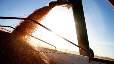 Sorpresa y default en el campo: tres empresas reconocidas tienen graves problemas financieros