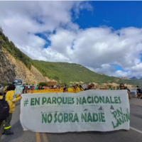 Parques Nacionales despidi a ms de 100 trabajadores en 2024 y solo en los ltimos das de diciembre sumaron otros, al menos, 20