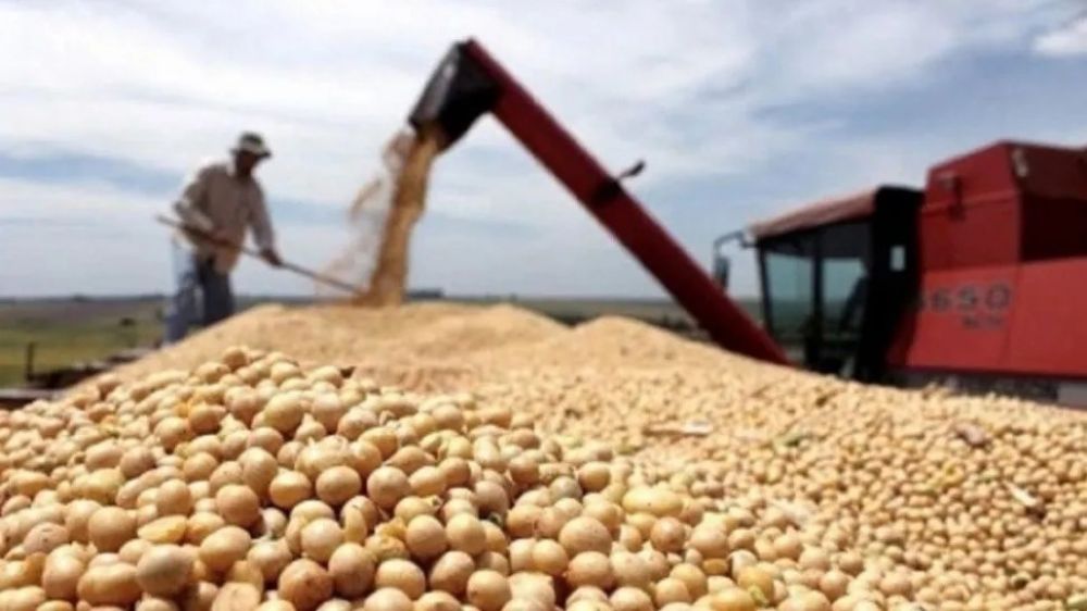 El 2025 arranca con reclamos del agro por las retenciones