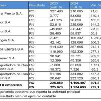 Los grandes ganadores del modelo de Milei durante el 2024