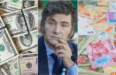 �Adaptarse o morir�. Cu�l es la falacia del d�lar barato, seg�n Milei