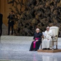 Catequesis del Papa Francisco sobre la plaga del trabajo infantil