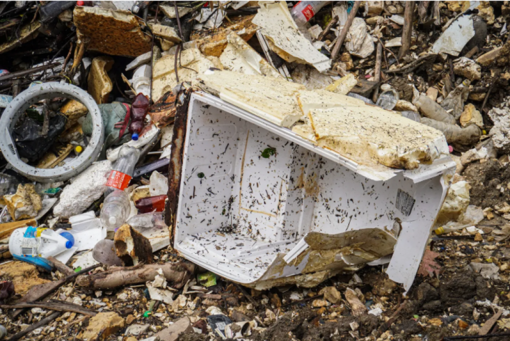 Una ONG denuncia la alarmante contaminacin del Arroyo El Gato: 