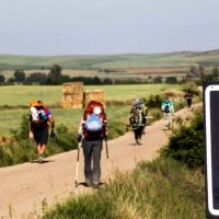 Auge de las peregrinaciones: el Camino de Santiago alcanza cifras rcord en 2024