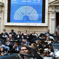 Elecciones 2025: cuntas bancas ponen en juego los bloques en Diputados y cules son las provincias claves