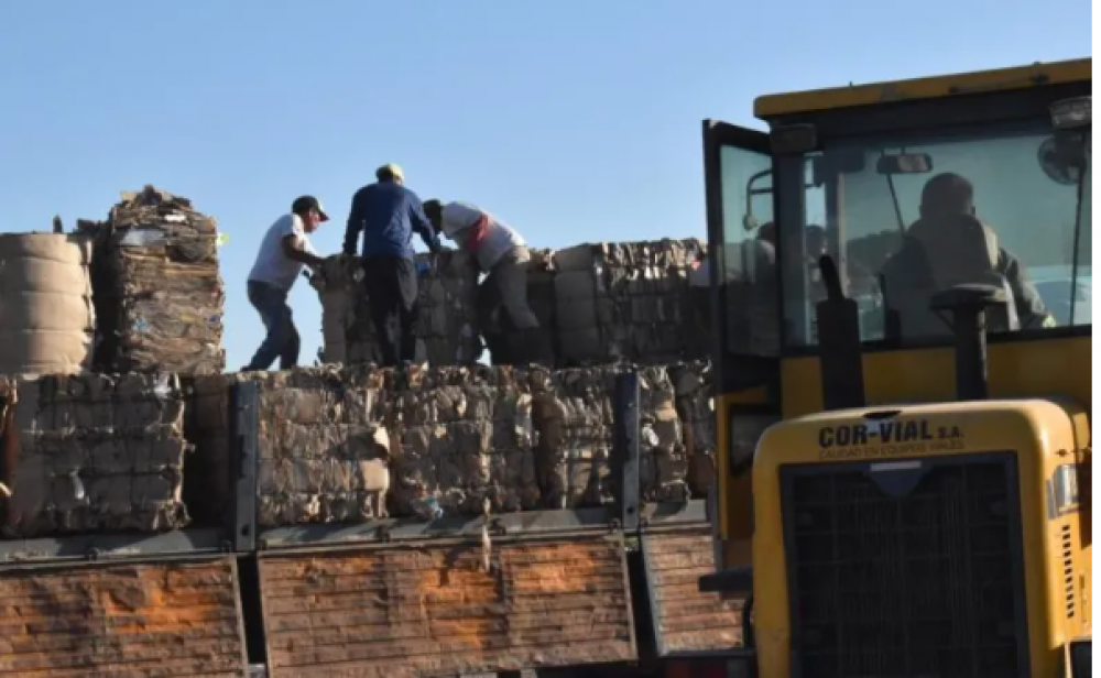 Buenas ventas de cartn de la planta de reciclaje en el inicio del ao