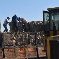 Buenas ventas de cartn de la planta de reciclaje en el inicio del ao