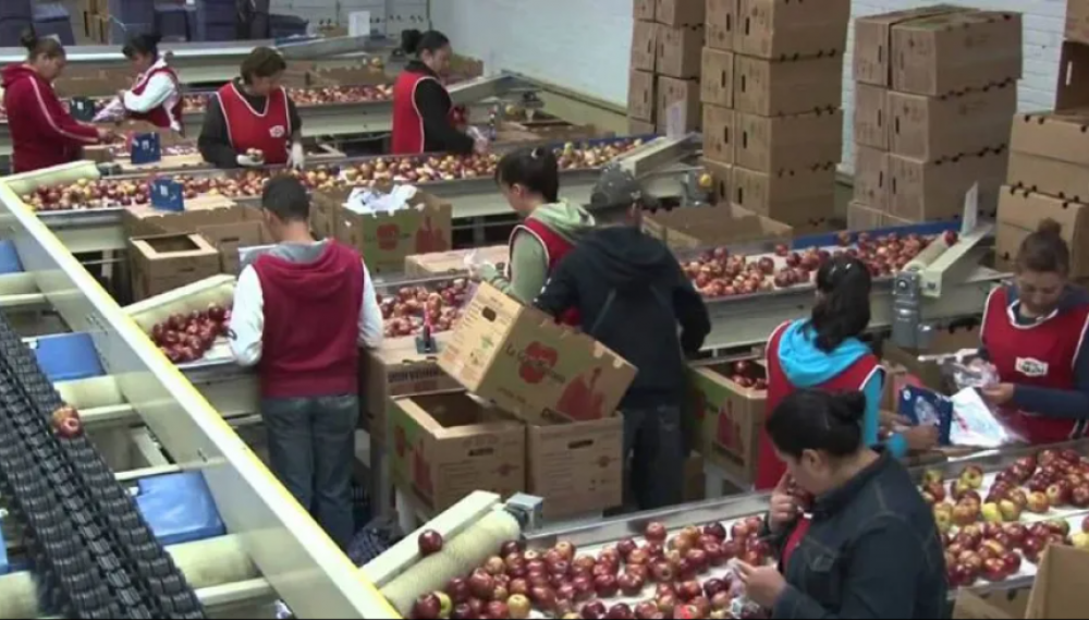 Paritarias de la fruta: cunto ofreci el CAFI y por qu fue rechazado por el sindicato