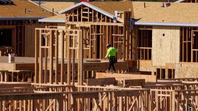 La actividad de la construcci�n y la de insumos se desplomaron hasta 24% en 2024