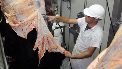 La Federacin del Cuero cuestion la desregulacin del sector y acus al Gobierno de querer reprimarizar la industria, para lograr una fabulosa transferencia de recursos a los sectores ms concentrados