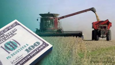 Se dilata negociacin con FMI y el Gobierno busca garantizarse un puente de dlares con el campo