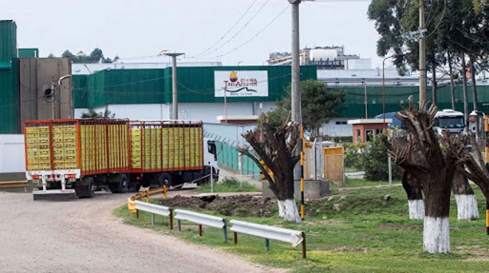 El Sindicato de Alimentacin se reunir con Trabajo el lunes por los despidos en Granja Tres Arroyos