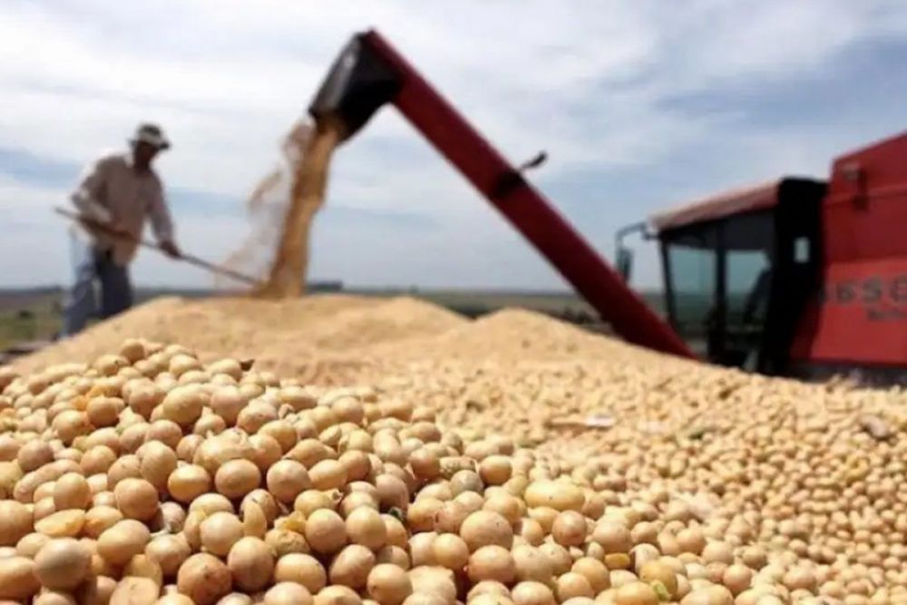 El concurso de acreedores de Los Grobo es un reflejo de la crisis de la patronal agraria