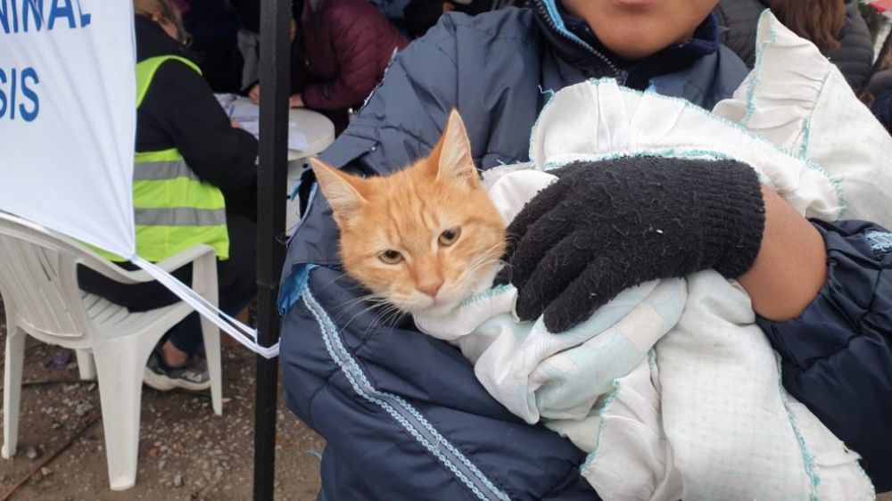 Se realizar una doble jornada de Bienestar Animal en el Relleno Sanitario San Javier