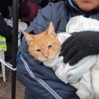 Se realizar una doble jornada de Bienestar Animal en el Relleno Sanitario San Javier