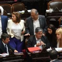 La ruptura del peronismo en el Congreso: cmo actuarn en el Senado para las PASO y el round de Ficha Limpia