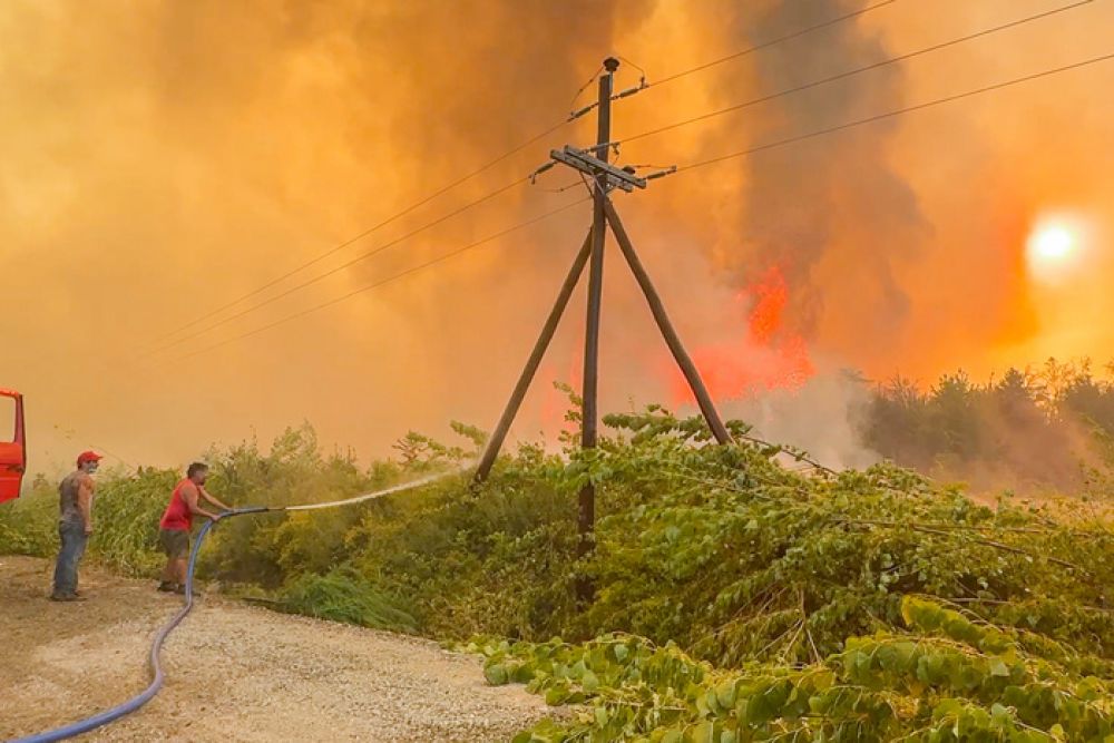 Motosierra, persecucin y despidos: el mtodo libertario para combatir el fuego en la Patagonia