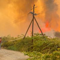 Motosierra, persecucin y despidos: el mtodo libertario para combatir el fuego en la Patagonia