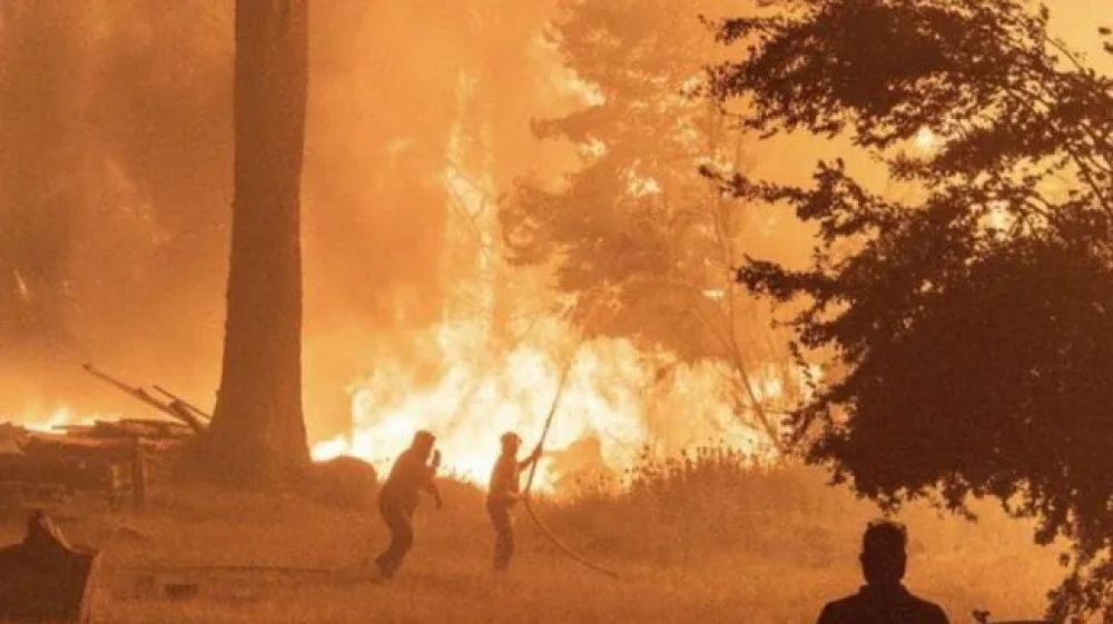 Masivas movilizaciones en Chubut, Neuqun y Ro Negro por los incendios: 