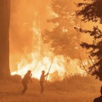 Masivas movilizaciones en Chubut, Neuqun y Ro Negro por los incendios: 