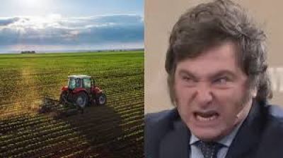 Crisis del campo: Grupo Los Grobo multiplic� por 20 su p�rdida operativa en 2024