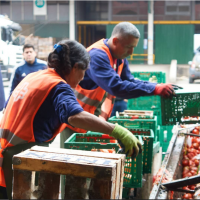 Reduccin de prdidas y desperdicios en Mercados mayoristas