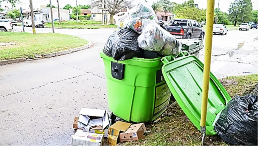 Basura: A dnde va cada cosa y qu hacer con lo que no va en los contenedores verdes