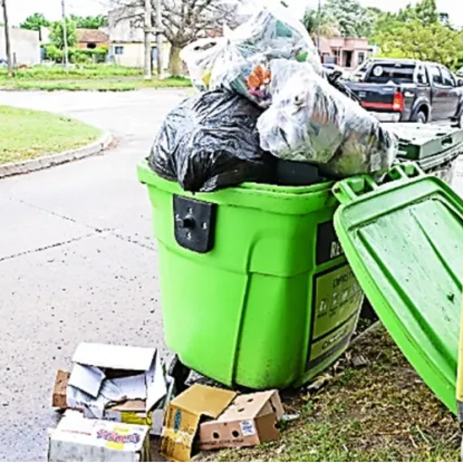 Basura: A dónde va cada cosa y qué hacer con lo que no va en los ...