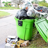 Basura: A dnde va cada cosa y qu hacer con lo que no va en los contenedores verdes