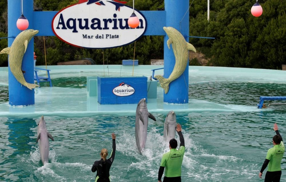 Anuncian el cierre del Aquarium de Mar del Plata y hay cerca de 200 empleos en riesgo