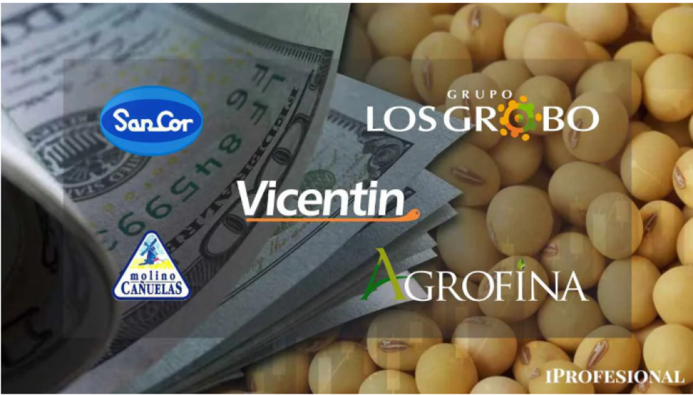 Vicentin, Los Grobo, SanCor y otras: por qu en el granero del mundo quiebran sus naves insignia?