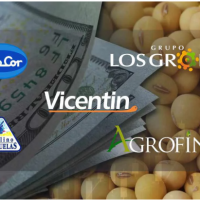 Vicentin, Los Grobo, SanCor y otras: por qu en el granero del mundo quiebran sus naves insignia?