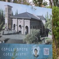 Mendoza albergar la primera capilla del mundo dedicada a Carlo Acutis