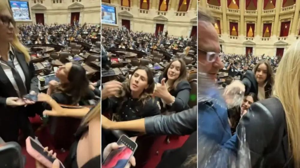 Crece la interna libertaria despus del escndalo en el Congreso entre Lemoine y Pagano