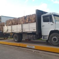 La planta de reciclado La Metropolitana reinsert 20 toneladas de cartn a la economa circular 