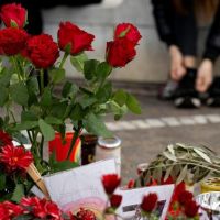 El Papa: Pido que se detengan inmediatamente las armas