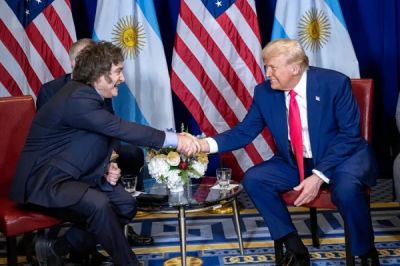 Milei ante la tormenta: �c�mo impactar� la guerra comercial desatada por Trump?