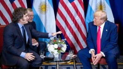 El cisne negro de los aranceles de Donald Trump: m�s riesgos que beneficios para la Argentina de Javier Milei
