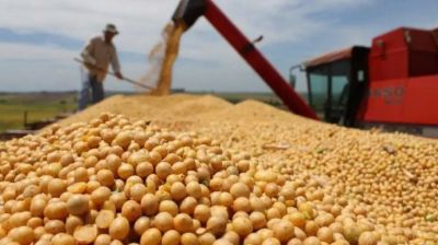 Retenciones: el campo afirm� que la baja es �insuficiente� y va por la eliminaci�n total